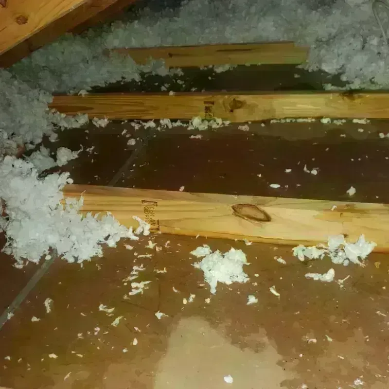 Attic Water Damage in Grayson County, VA